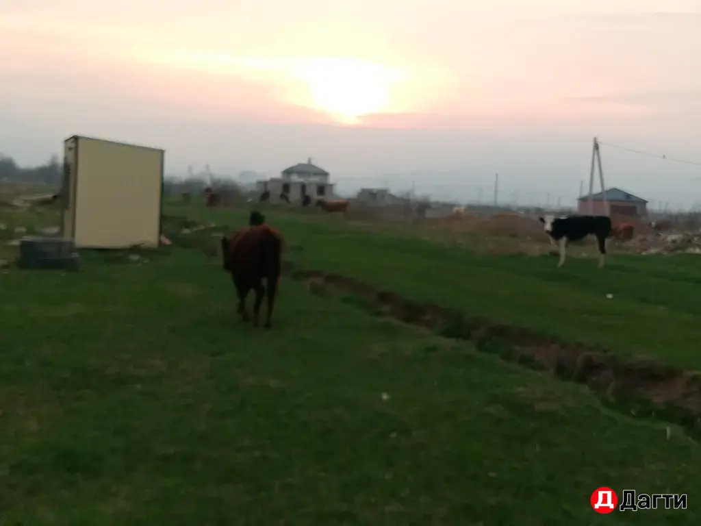 Земельный участок