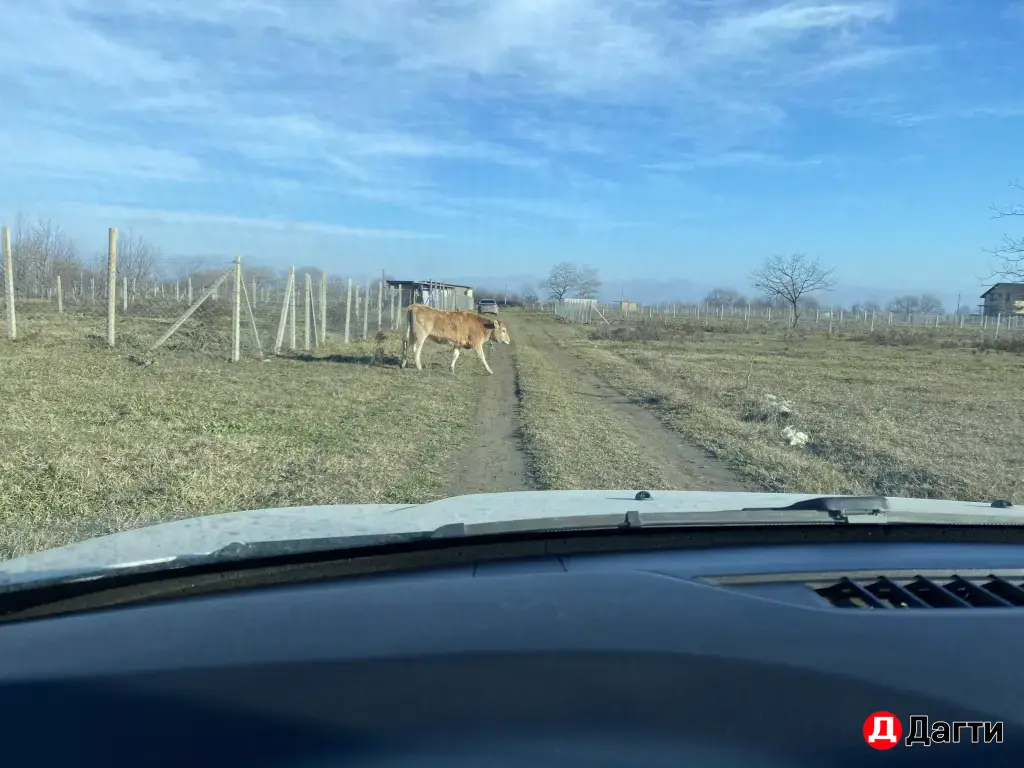 земельный участок