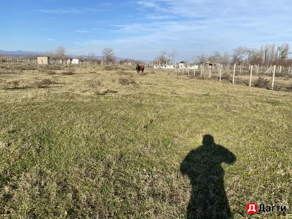 земельный участок