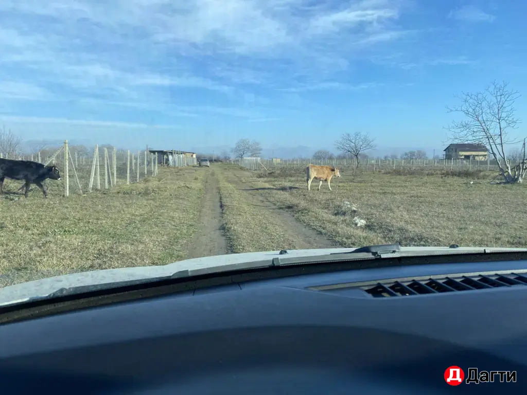 земельный участок